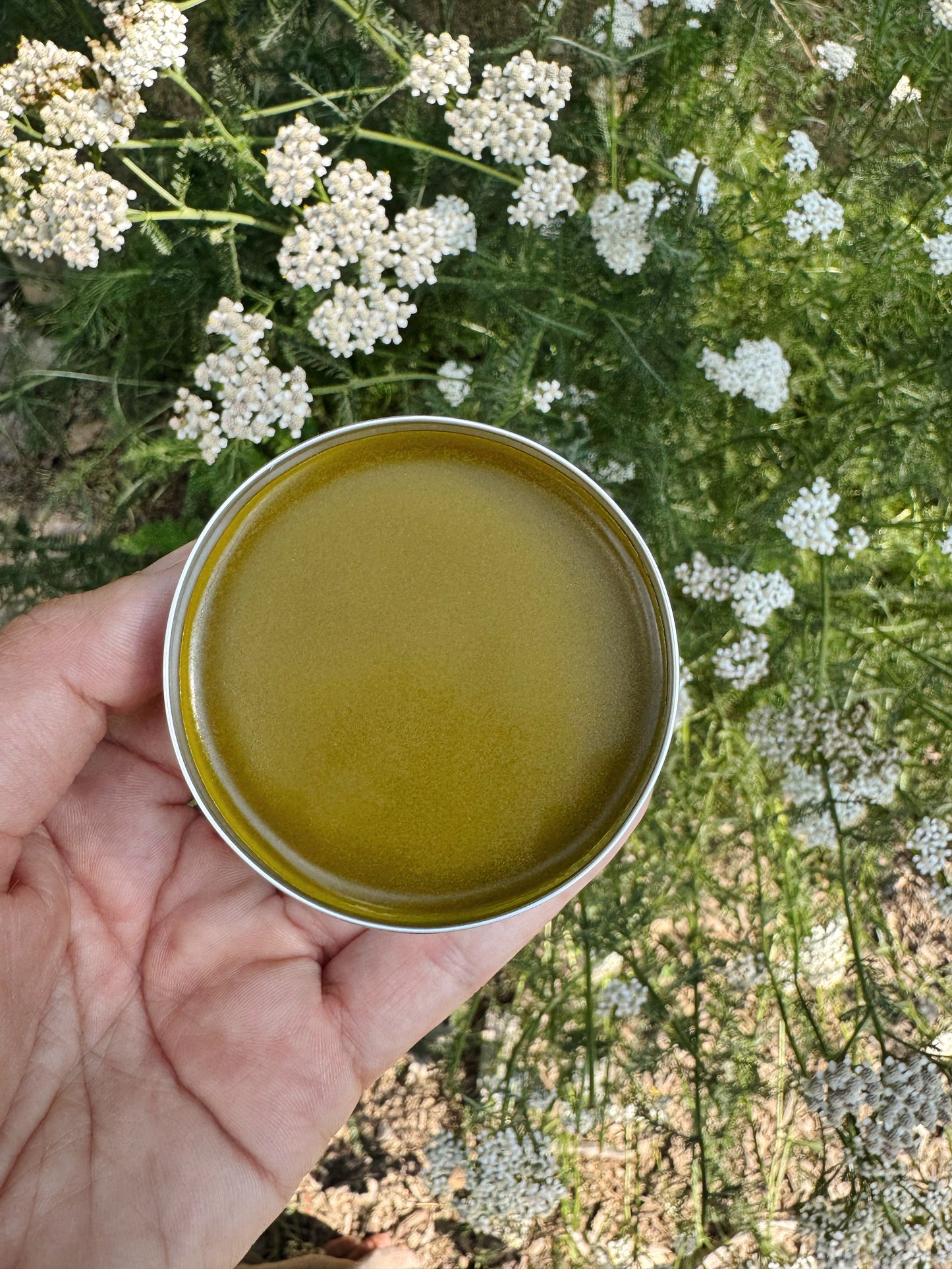 Herbal Salve
